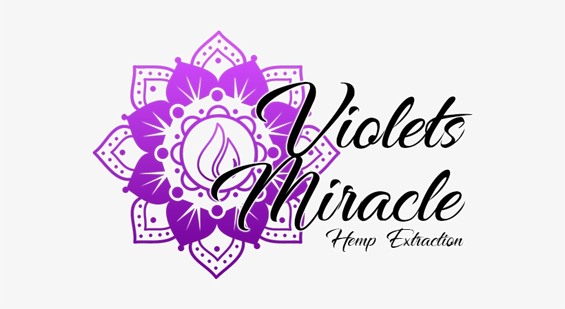 Violets Miracle, Llc, transparent png download
