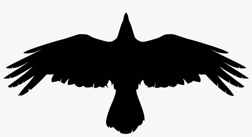 Download Crow Png Picture - Crow Png, transparent png download