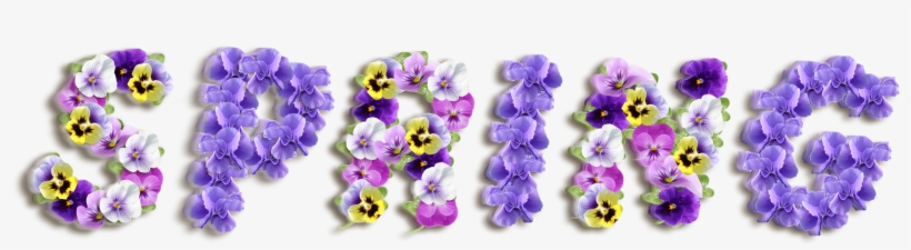 Purple Spring Clipart, transparent png download