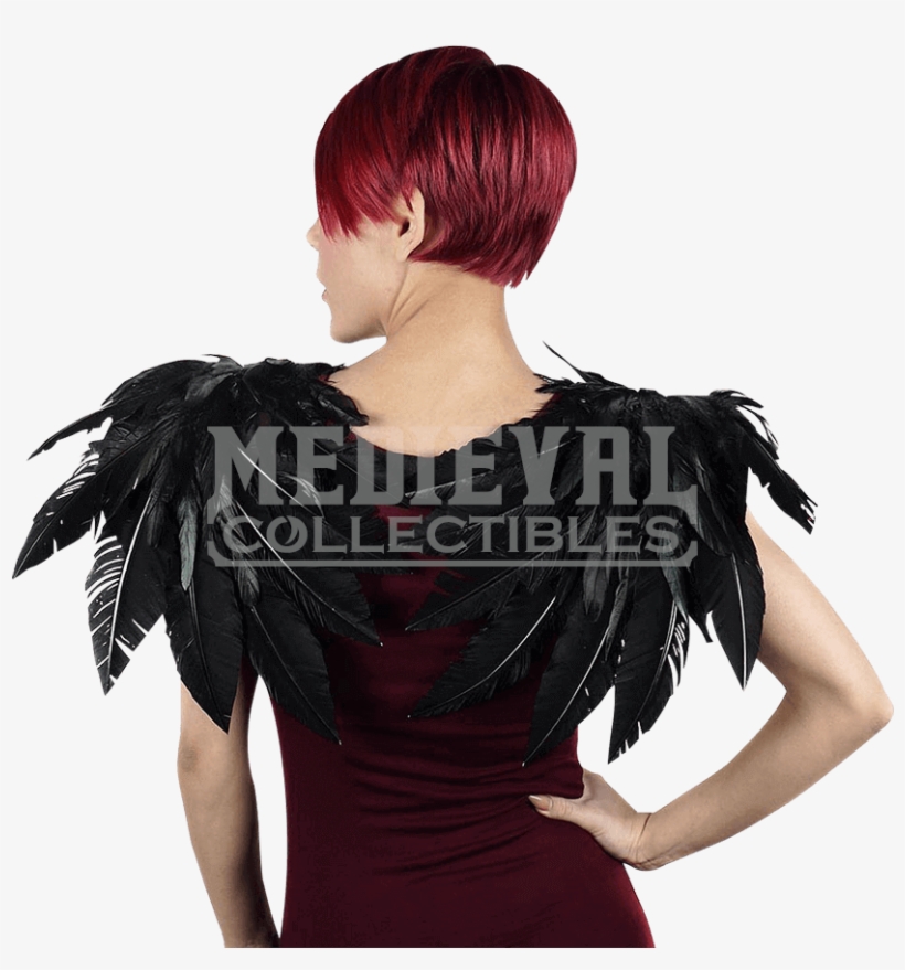 Crow Feather, transparent png download