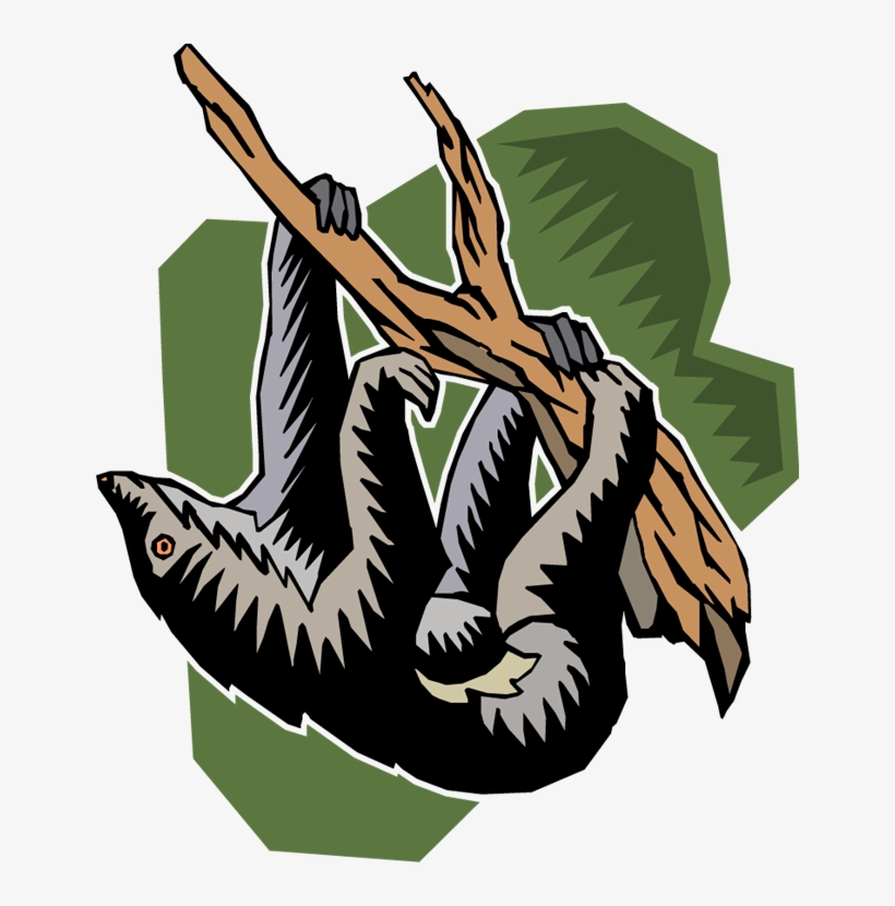 Free Sloth Clipart - Costa Rica-trägheit, Die Vom Baum Pura Vida Hängt Bicycle, transparent png download
