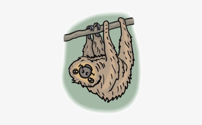 Sloth - Illustration, transparent png download