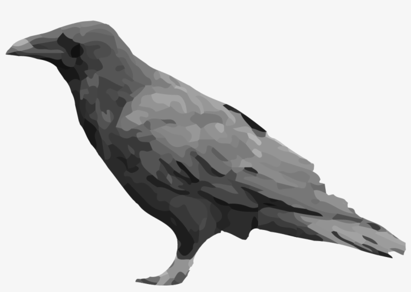 Raven, transparent png download