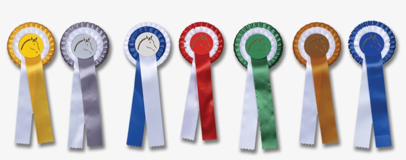 Cintas De Premiacion Para Caballos, transparent png download