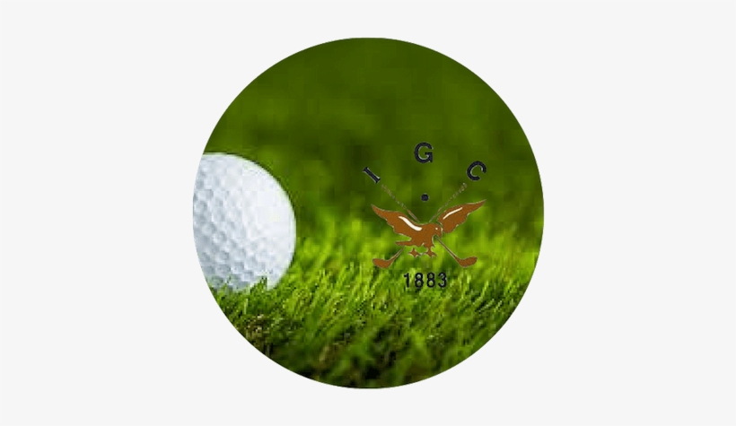 Inverness Golf Club - Poster: Jannoon028's Golf Ball On Green Grass, 61x41in., transparent png download