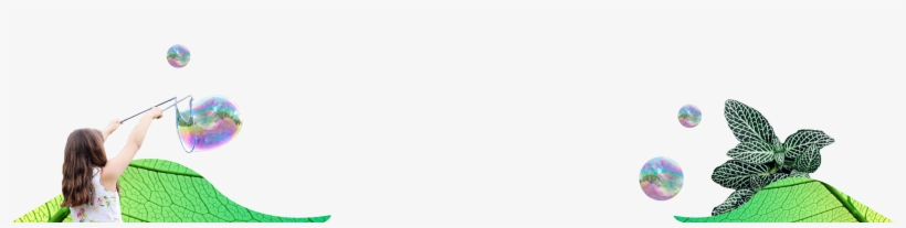 Stay Up To Date - 아이와 놀면서 만드는 초등 포트폴리오, transparent png download