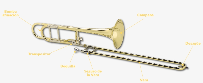 Las Principales Partes Del Trombón De Varas Son - Types Of Trombone, transparent png download