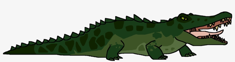 American Alligator, transparent png download