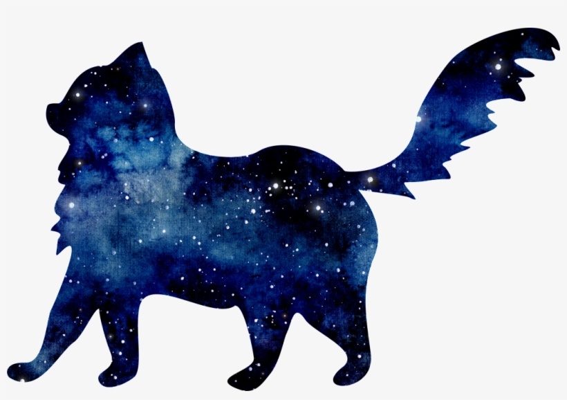 Starry Blue Kitten Png Transparent - Cat, transparent png download