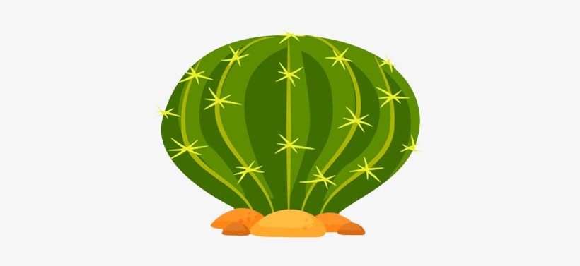 Email- Hello@konfetti - Co - - Cactus, transparent png download