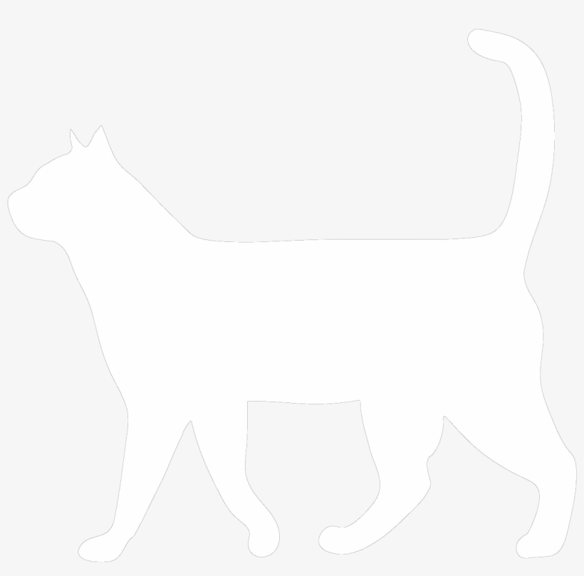 Stop Stressing Meowt - Funny Cat, transparent png download