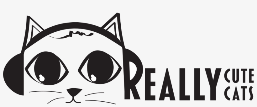 Really Cute Cats - Cat, transparent png download