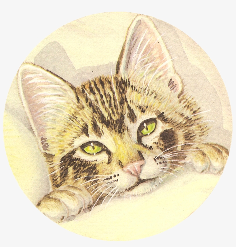 It Is A Children's Book With Some Seriously Cute Pictures - Illustration, transparent png download