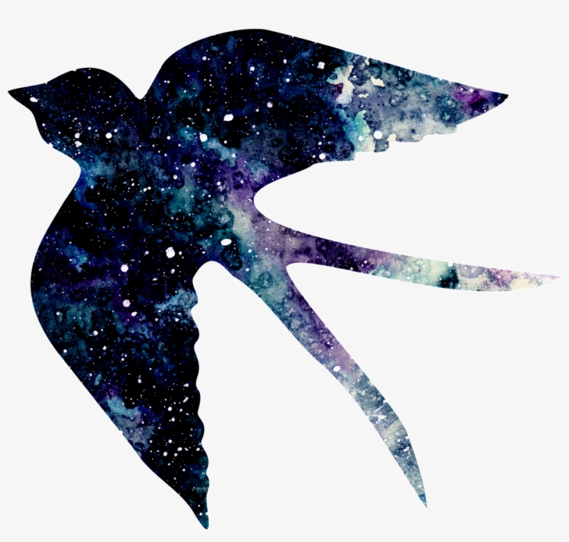 Hand Painted Bird Under The Stars Png Transparent - Portable Network Graphics, transparent png download