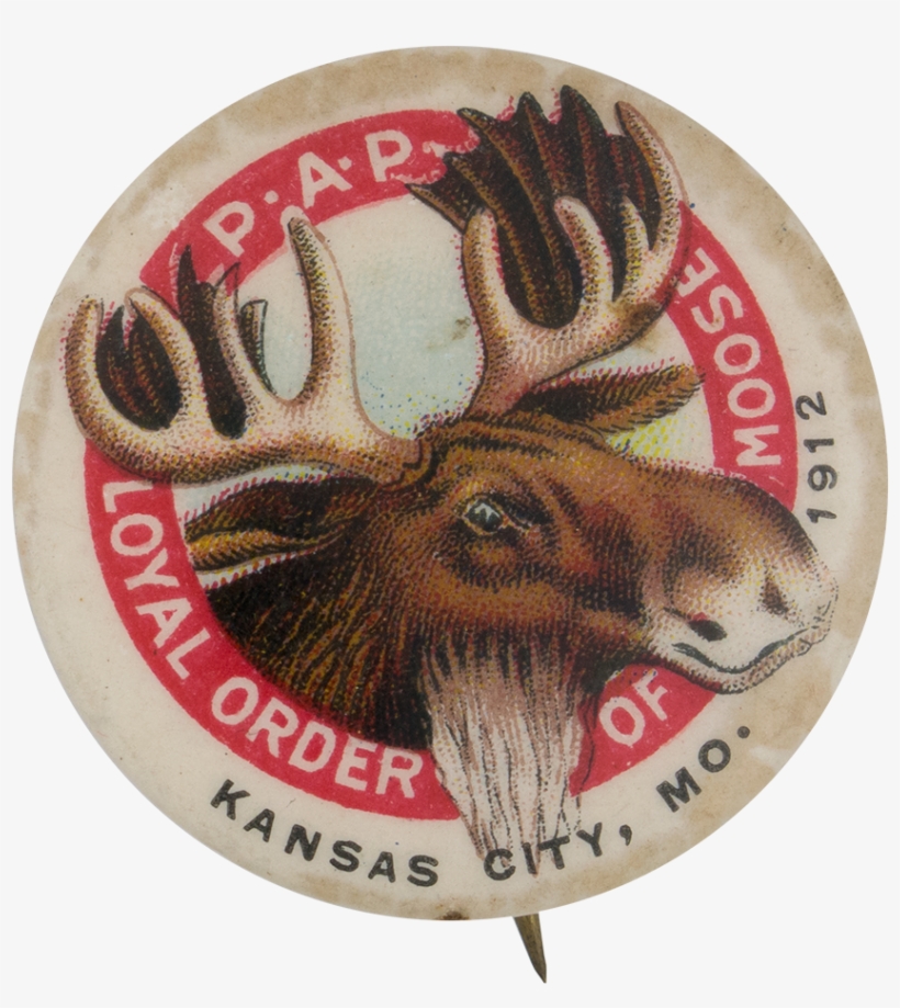 Loyal Order Of Moose Club Button Museum - Elk, transparent png download