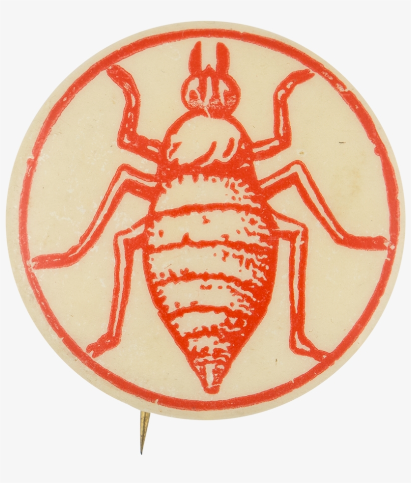 Military Order Of The Cootie Club Button Museum - Military Order Of The Cootie, transparent png download