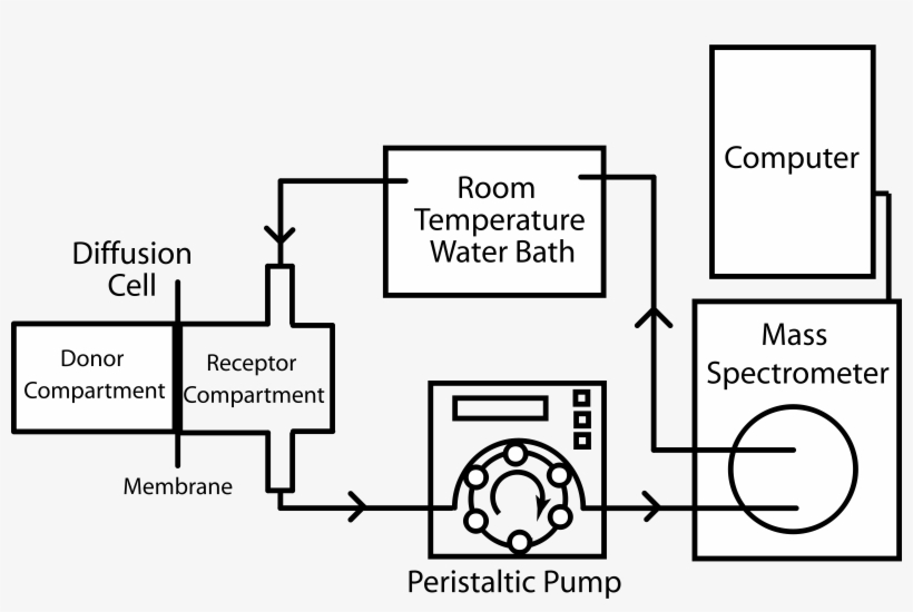 This Free Icons Png Design Of Diffusion And Permeability, transparent png download