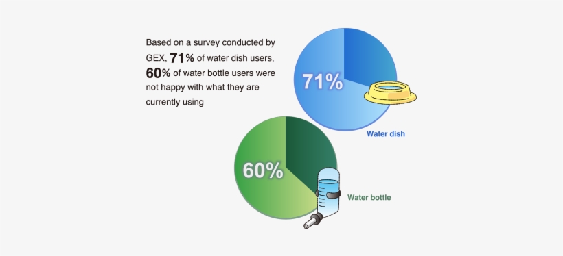 Are You Satisfied With The Water Dish You Are Using - Water, transparent png download