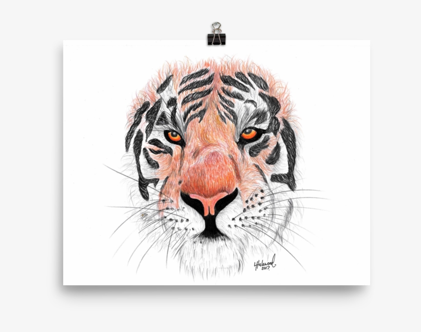 Image Of 'sumatran Tiger' - Siberian Tiger, transparent png download