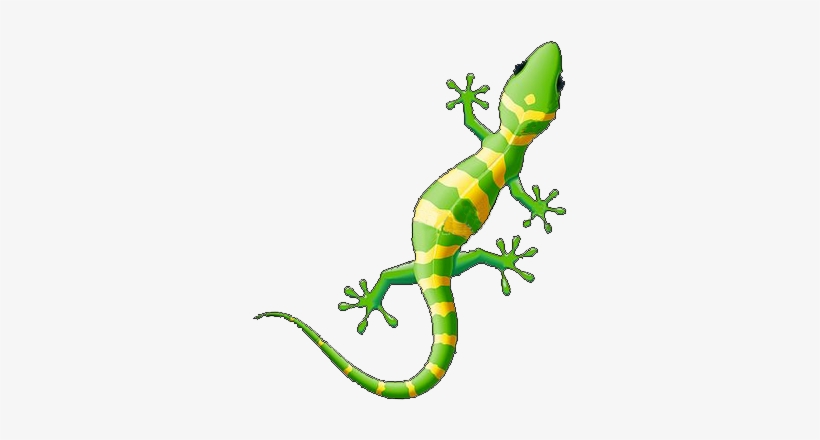 Ibiza Gecko, transparent png download
