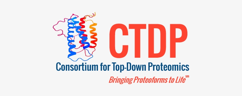 Graphic Design, transparent png download