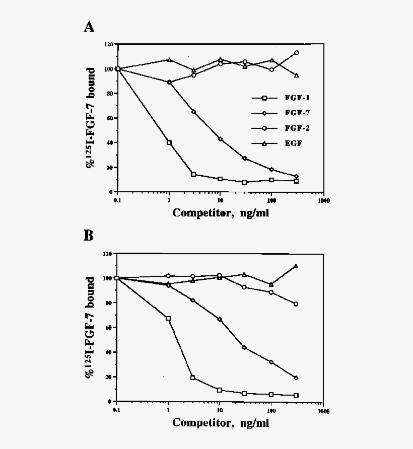 Competition Assay Comparing Human And Newt Kgfrs With - Diagram, transparent png download
