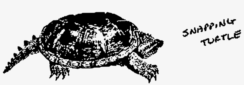 This Free Icons Png Design Of Snapping Turtle, transparent png download