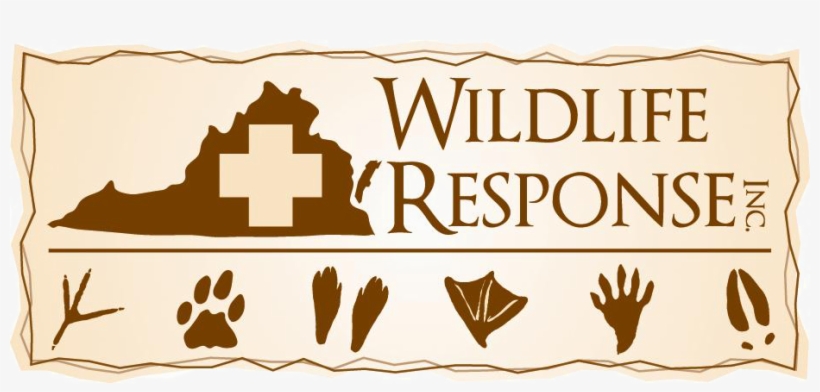 Roman Catholic Diocese Of Ragusa, Sicily, transparent png download