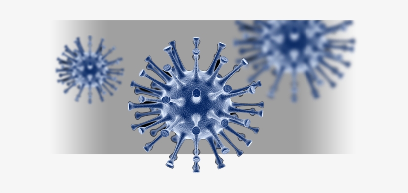 Concise Handbook Of Infectious Diseases, transparent png download