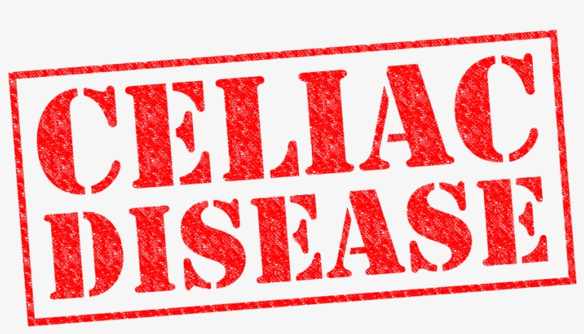 Can Stock, transparent png download