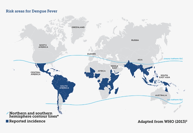Disease Risk Map - World Map, transparent png download