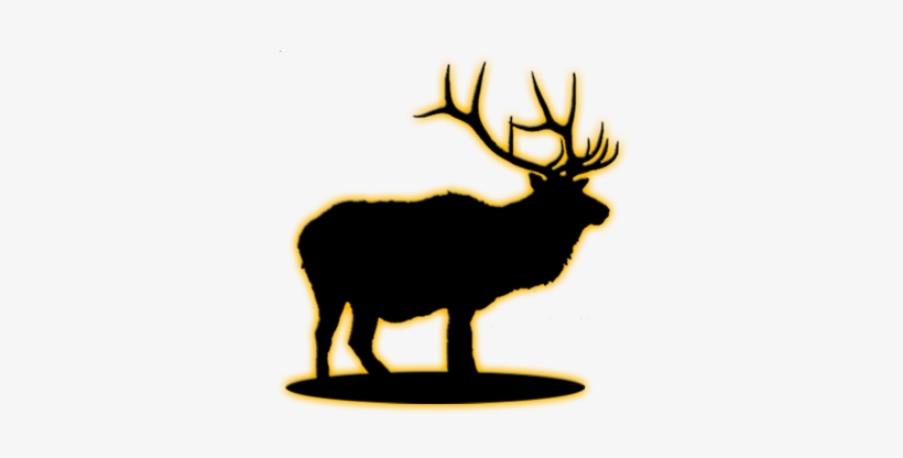 Elk - Antler, transparent png download