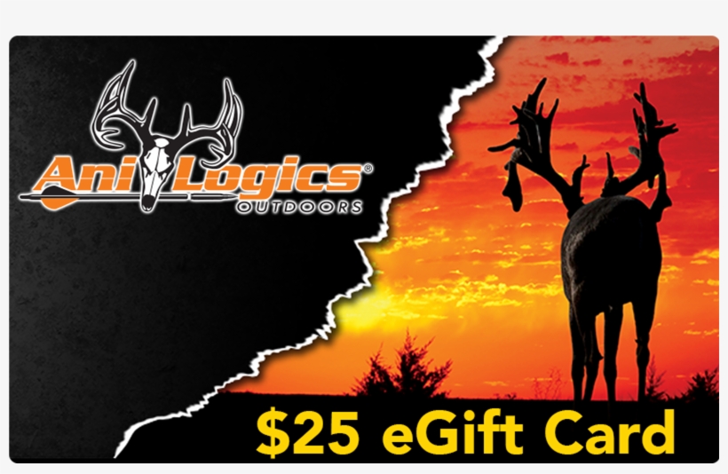 25 Giftcard Web - Poster, transparent png download