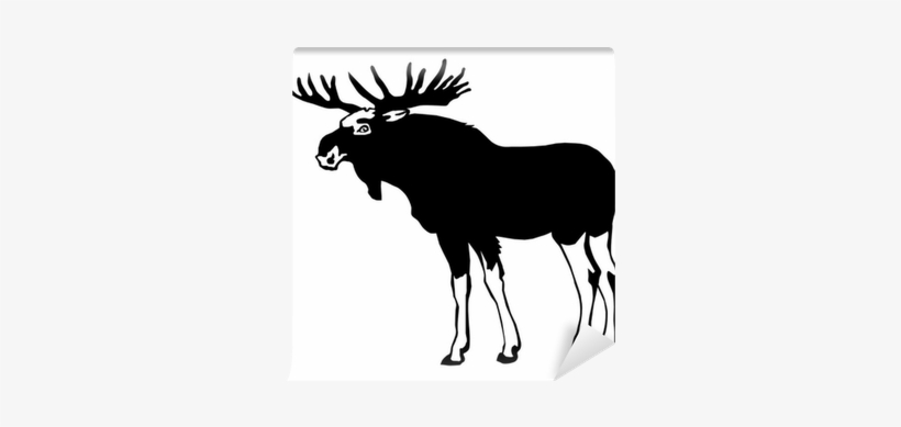 Vector, transparent png download