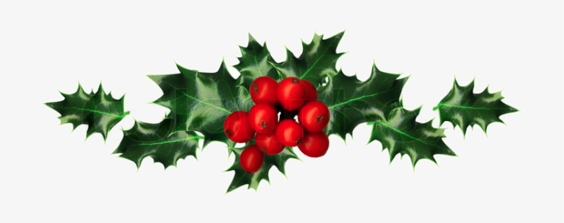 Holly - Clipping Path, transparent png download
