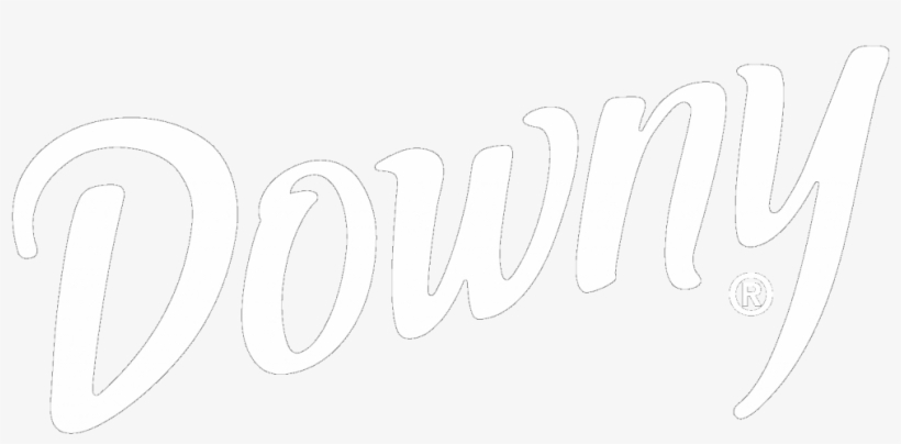 All - Spots - Studio - Calligraphy, transparent png download