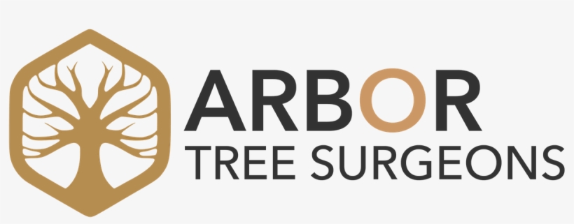 Tree Services Across The Uk - Available, transparent png download