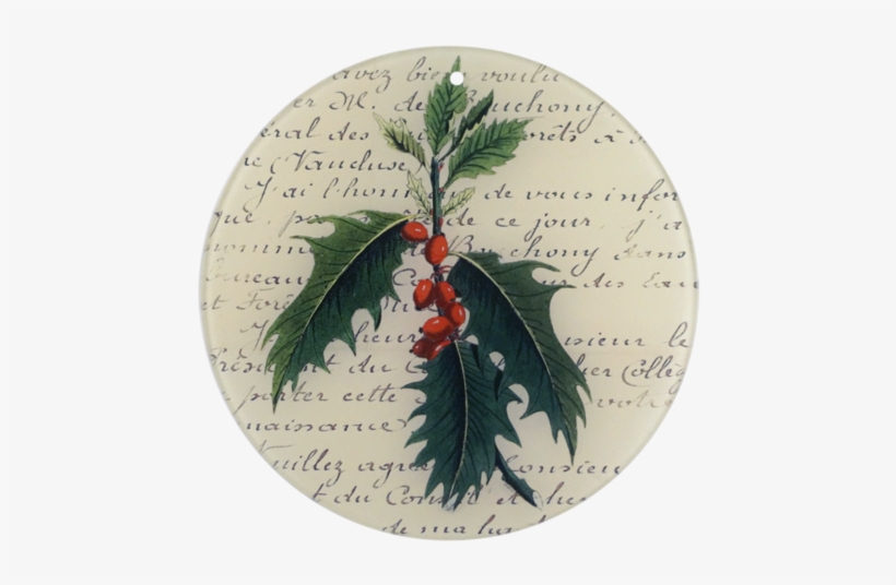 Holly, transparent png download