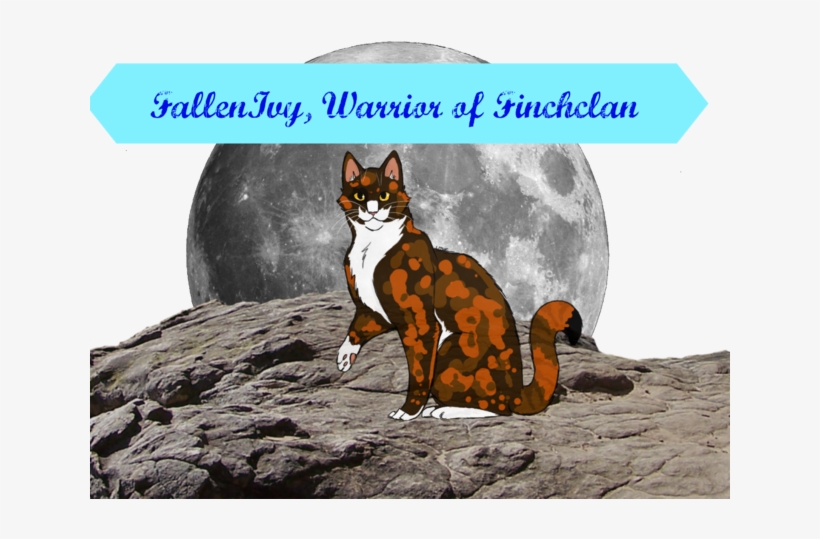 Moon Png Mosgbsdgcx Sdbgcxbdzfbon Png 0ih7wt Clipart - Ledge Png, transparent png download