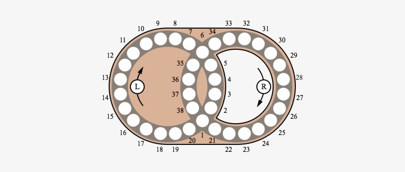 15 Puzzle - Circle Adult Coloring Page, transparent png download