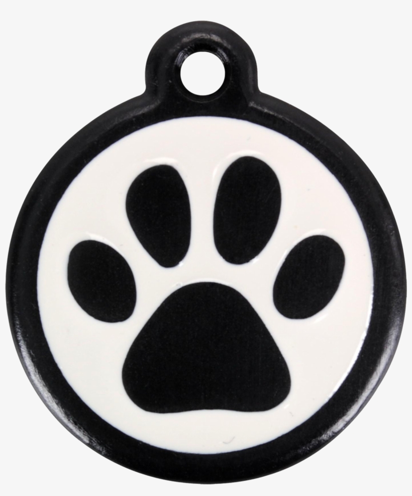 Product Codes - Red Dingo 05-pp-bb-sm Qr Tag I, transparent png download