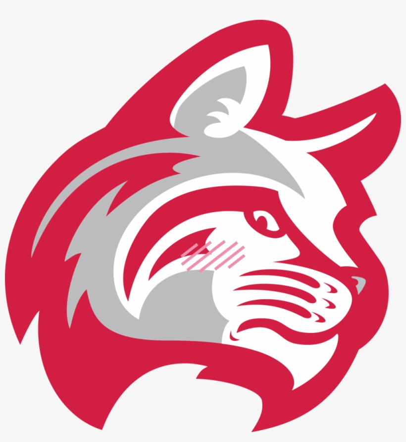 Wildcat Head Embarrassed, transparent png download