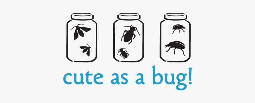 Cute As A Bug With Jars Vinyl Wall Decal - Wall Decal, transparent png download