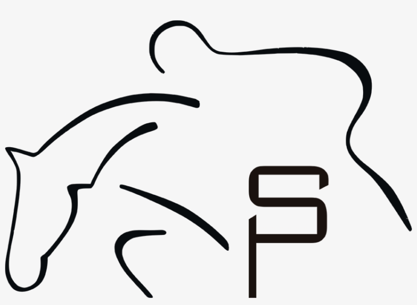 Pius Schwizer, transparent png download