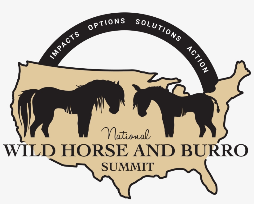 Salt Lake City, transparent png download