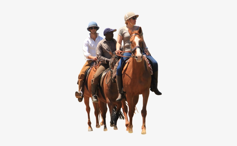 So Much Fun To Ride Out From The Farm - Equestrianism, transparent png download