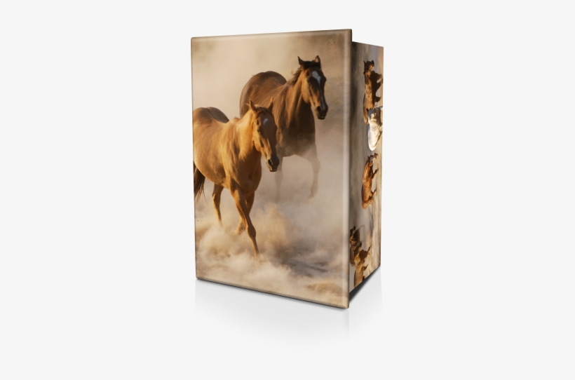 The Felt Covered Urn Base Is Simply Removed For Insertion - Dusty 5'x7'area Rug, transparent png download