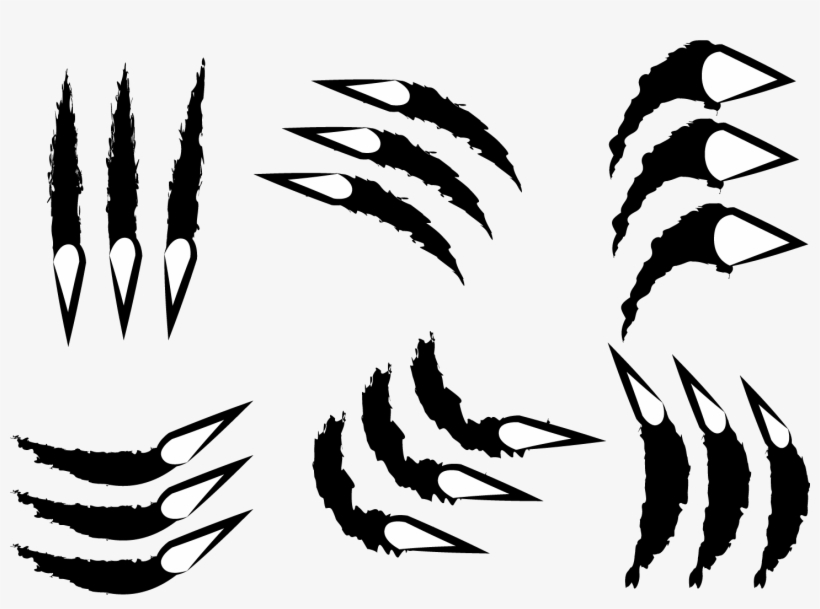 Garras De Tigre Png, transparent png download