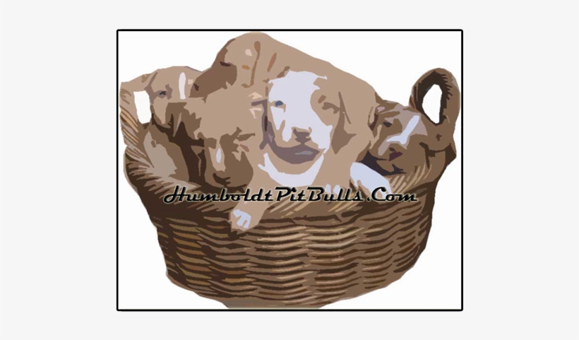Here Are Rednose Pitbull Puppies In A Basket - Red Nose, transparent png download