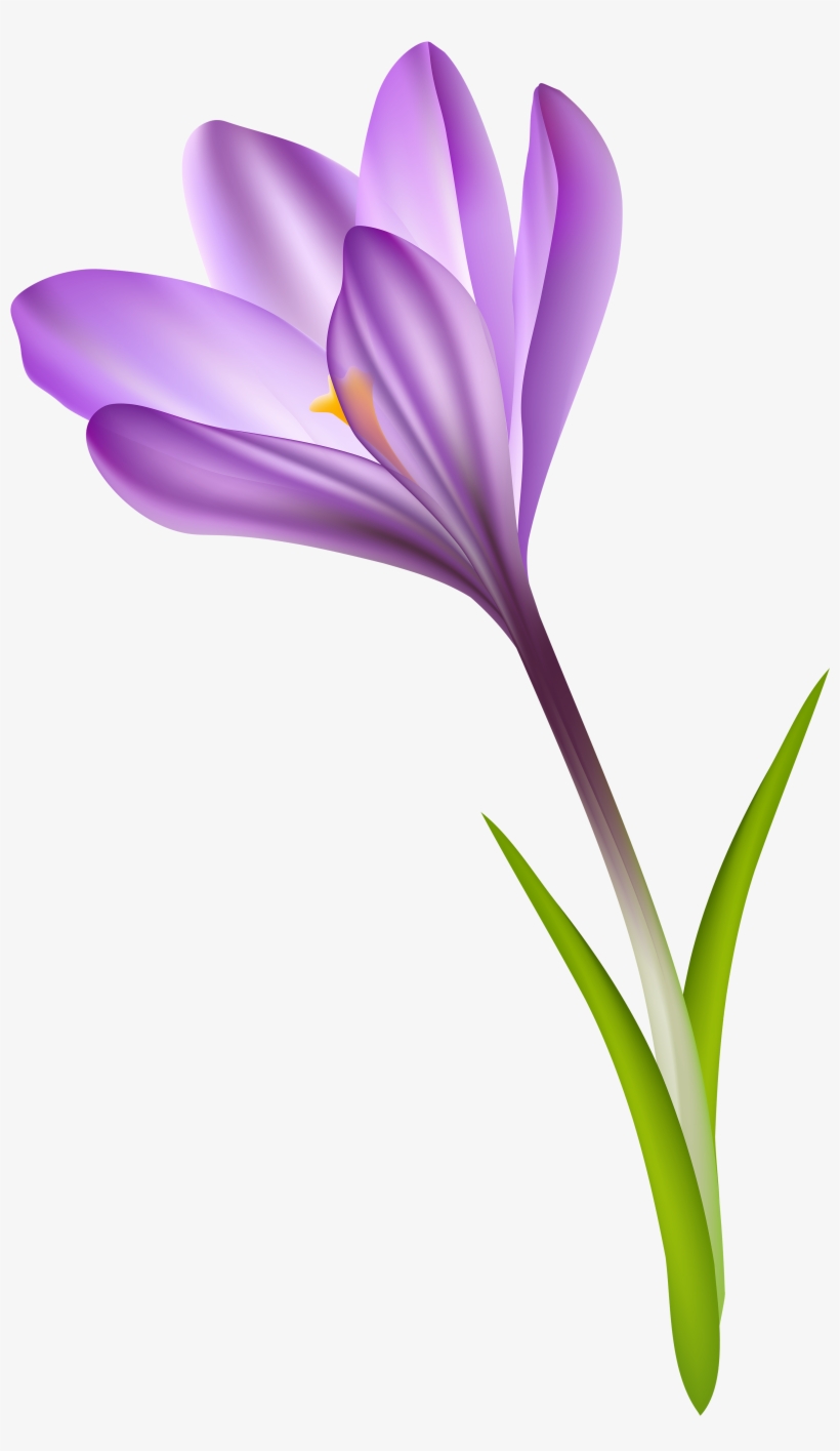 Portable Network Graphics, transparent png download